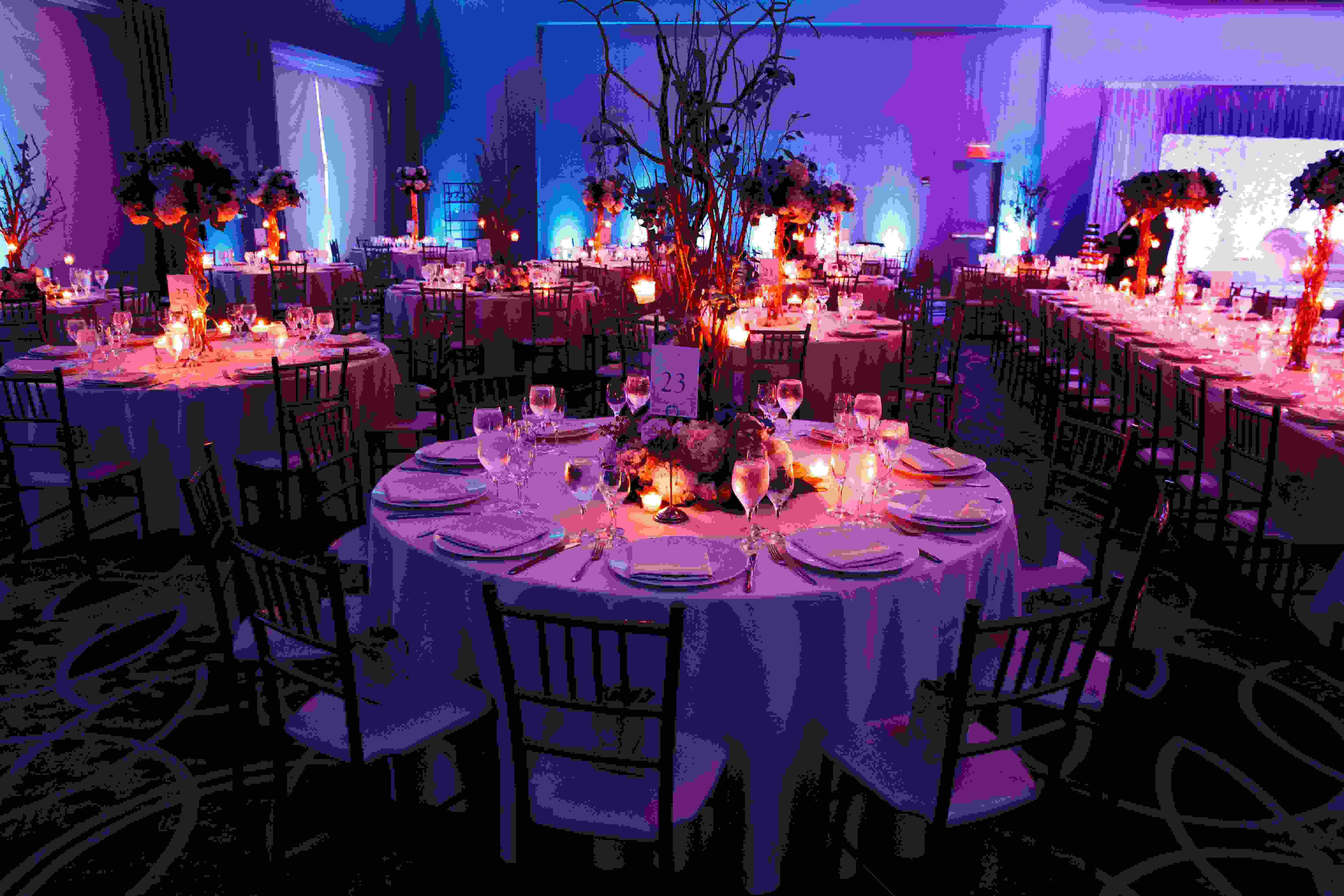 Our Events
